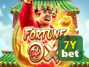 7Y BET login — painel de entrada no app oficial